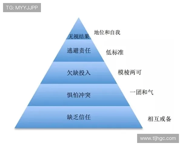 杭州篮球队在锦标赛中的团队协作表现分析与点评